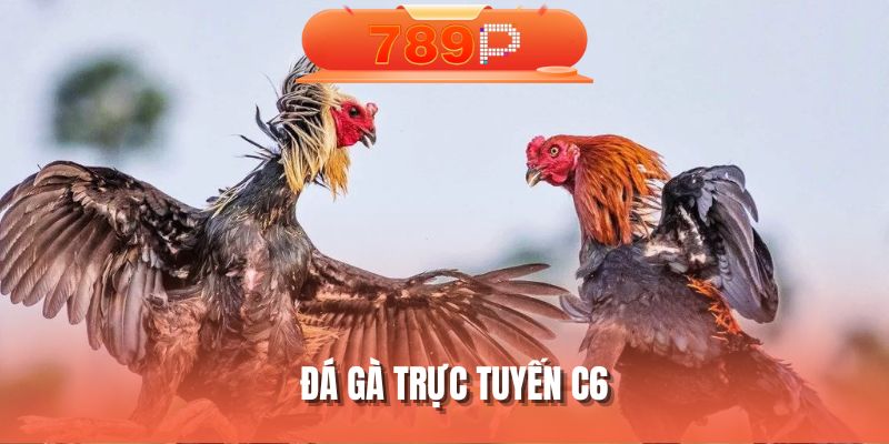 da-ga-truc-tuyen-c6